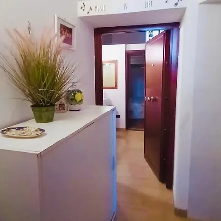 Accasetta